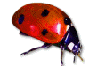Captcha image 1330