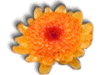 Captcha image 1882
